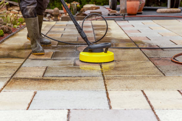 Animal Enclosure Cleaning in Ferris, TX